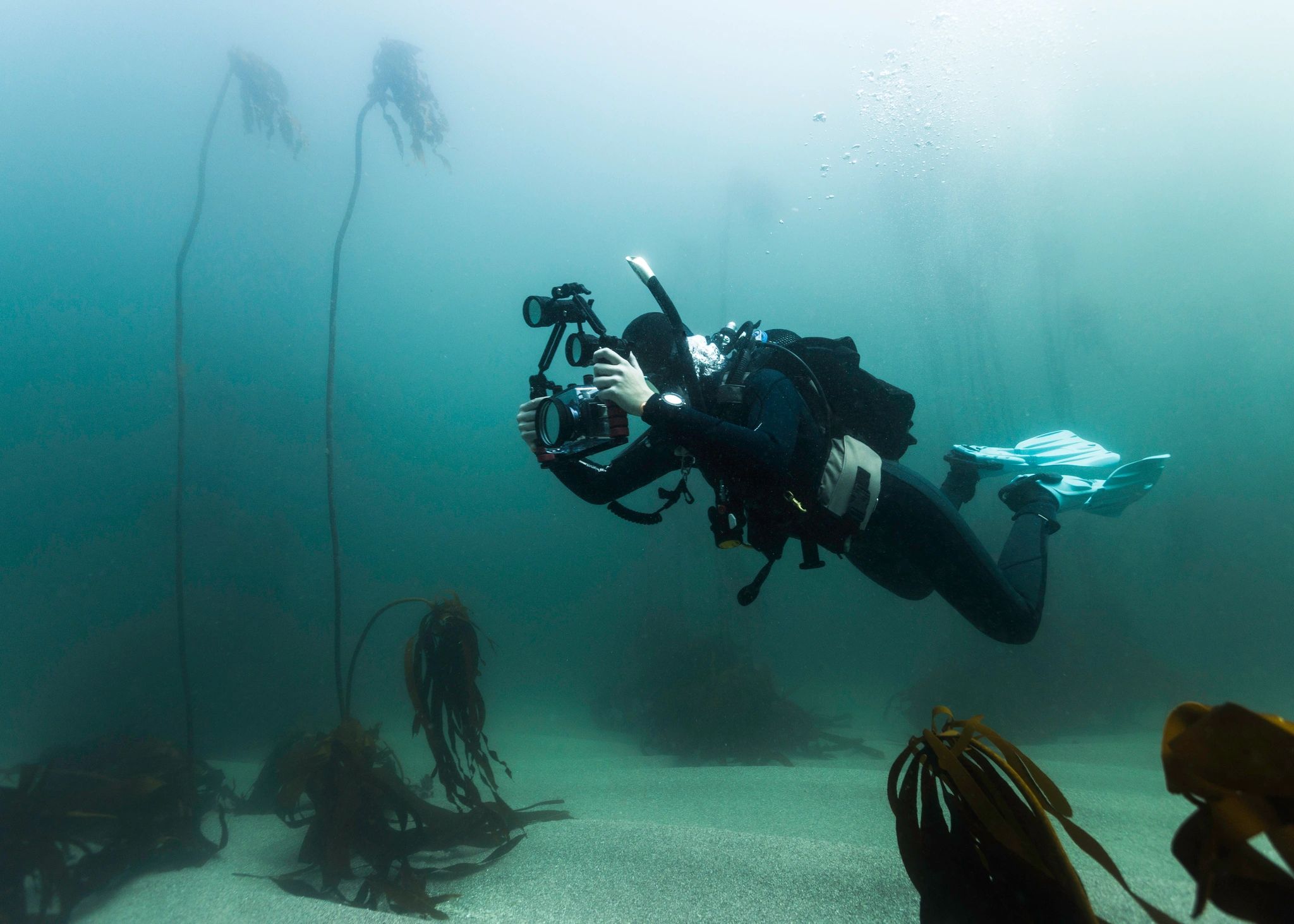 scuba diving documentary film crew ocean