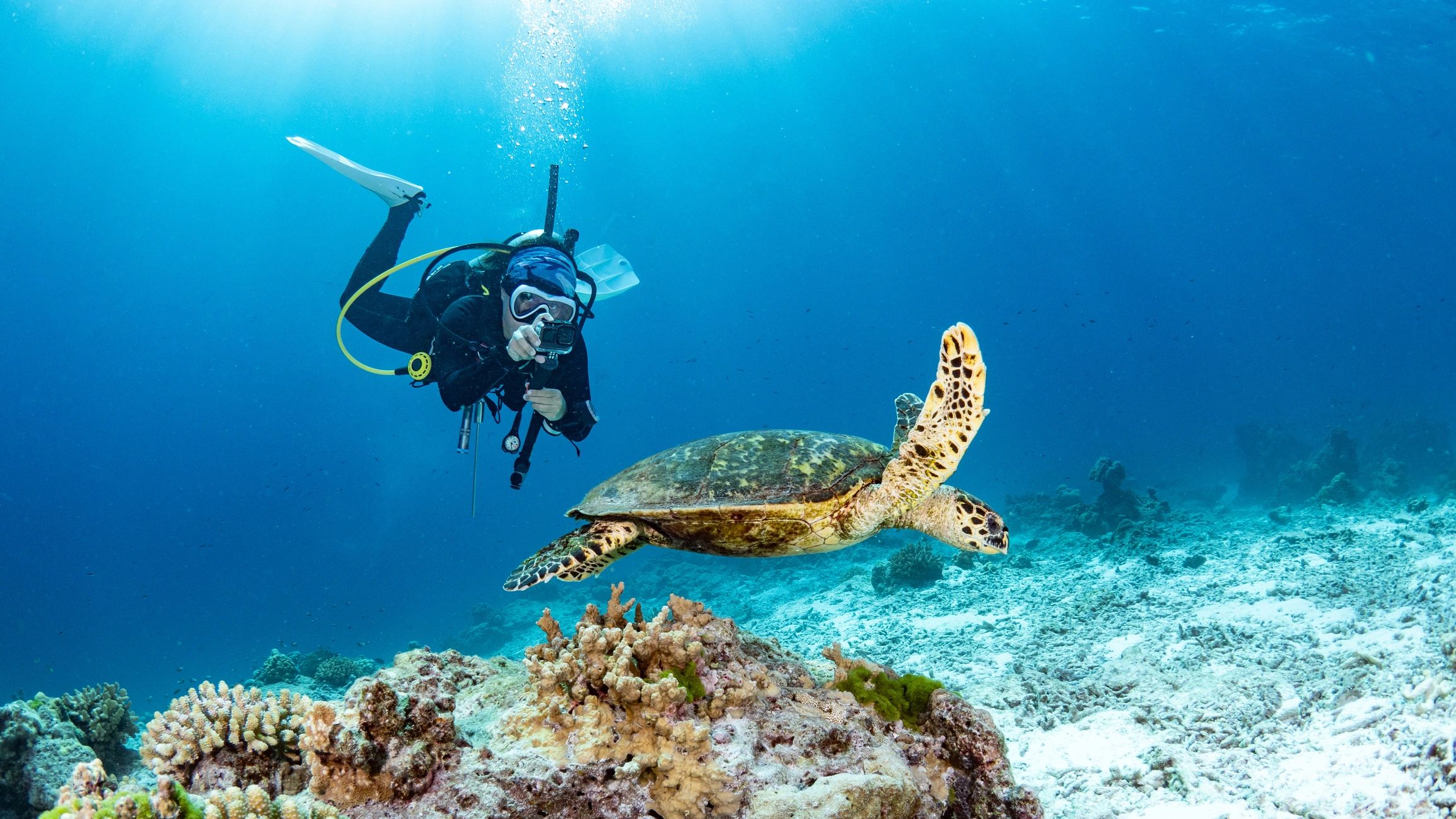 scuba diving expedition underwater
