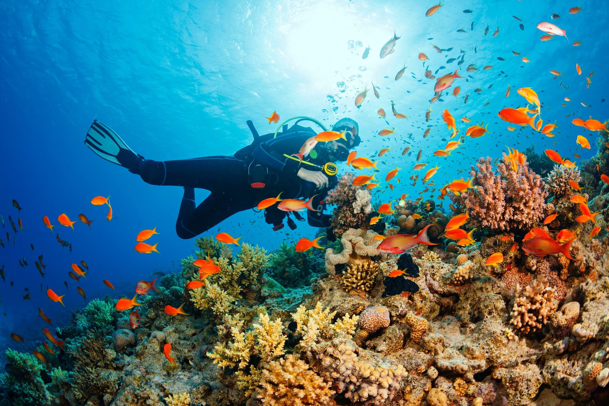 scuba diving expedition