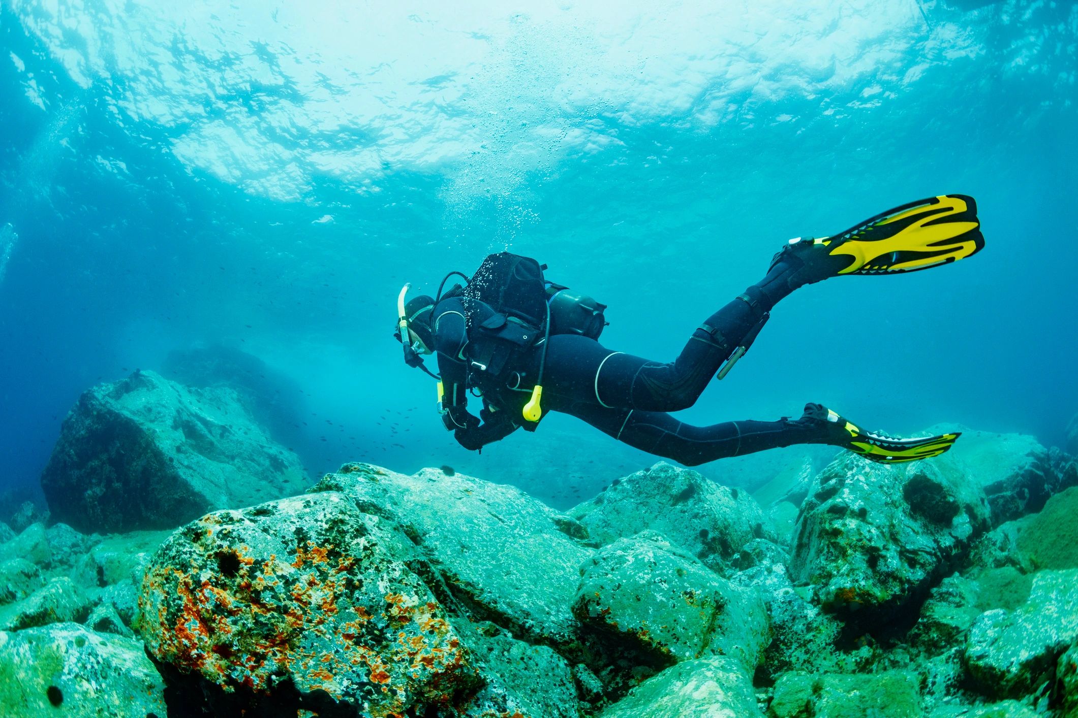 scuba diver underwater research
